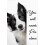 Border Collie Humour Poster – 'You'll Never Pee Alone', 1
