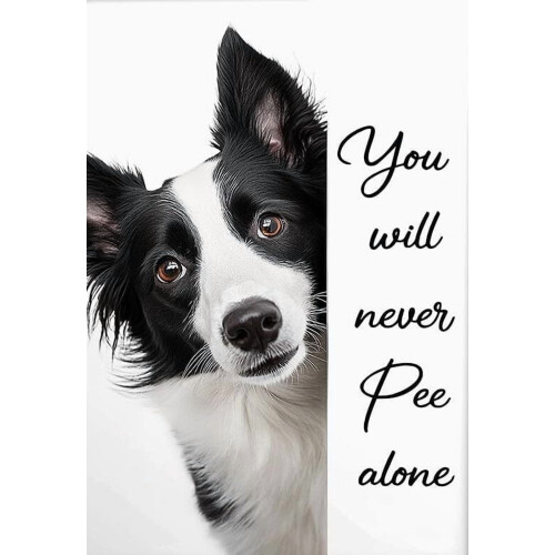 Border Collie Humour Poster – 'You'll Never Pee Alone',