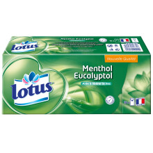 Demak'Up Eucalyptus Menthol Handkerchiefs 15 Sheets, Green, Paper, 15 Count, Sachet