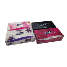 Blake & White 2-Ply Facial Tissues Box Multipack- Soft and Luxurious 100 Sheets Per Box Face Tissues - Extra Absorbent Facial Tissue for Cleaning