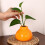 Durability High Fired Ceramic Fruit Pot Safe for Kids Pet 4