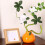 Durability High Fired Ceramic Fruit Pot Safe for Kids Pet 5