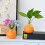 Durability High Fired Ceramic Fruit Pot Safe for Kids Pet 6