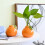 Durability High Fired Ceramic Fruit Pot Safe for Kids Pet 7
