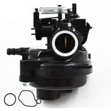 Carburateur pour moteurs Briggs & Stratton 09P702/9P702