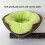MultiFunctional Bird Perch Nest Coconut Shell Resting Place-2 5