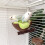 MultiFunctional Bird Perch Nest Coconut Shell Resting Place-2 6