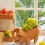 Creative Animal Fruit Basket for Living Room Storage PP-2 5