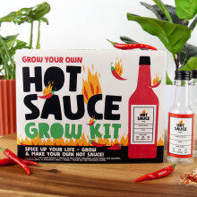 Gift Republic Grow Your Own Hot Sauce Kit Make Your Own Spicy Sauce with 3 Chilli Pepper Seed Varieties, Bottles, Recipes & More Perfect Gift for