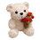 Rose Bear Plush Teddy Doll with Hat Brown White 7.8 Inch 2