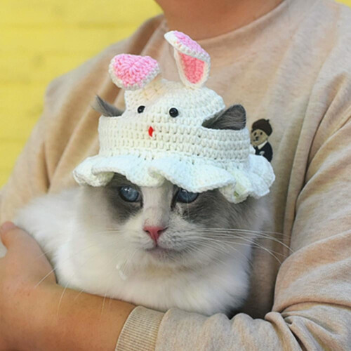 Bonnet tricoté pour chat – Laine douce, taille élastique 2