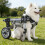 Supportive Comfortable Adjustable Pet Wheelchair Four Wheel-L 3