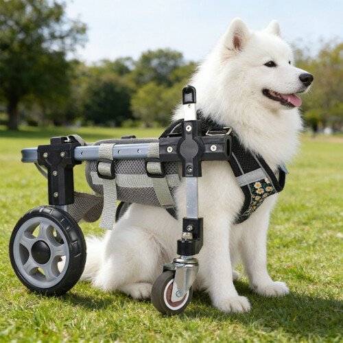 Supportive Comfortable Adjustable Pet Wheelchair Four Wheel-L 2