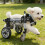 Supportive Comfortable Adjustable Pet Wheelchair Four Wheel-L 6
