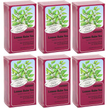 Floradix Lemon Balm Organic Herbal Tea 15 Bag (Pack of 6)