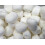 Gibbs After Dinner Mints 1kg 1