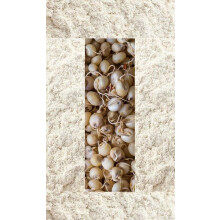 Ancient Grains Organic Sprouted Jowar Flour (Sorghum) 1kg