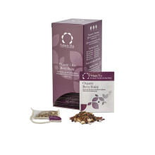 Solaris Tea - Organic Berry Fruity Tea | 100% Organic Whole Leaf Tea | Certified Vegan | 40x Biodegradable Stitched Teabags, (1 x 80 g)
