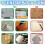 Julekatt Rub-on Transfers UV DTF 18 stk 4