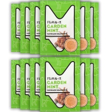 Flava-It Garden Mint Marinade, 35 g, Pack of 12
