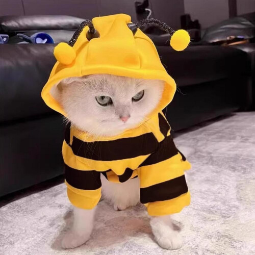 Striped Cute Bee Cat Costumes 1