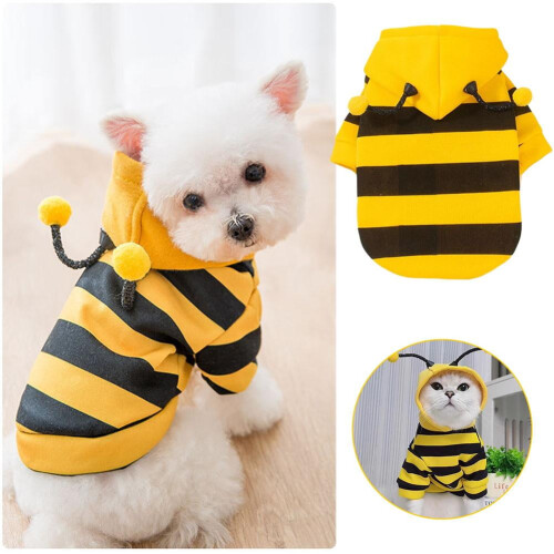 Striped Cute Bee Cat Costumes 2