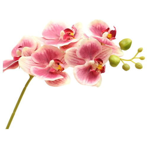 Kunstmatige vlinderorchideestelen 17 inch