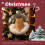 Clear Cat Christmas Ornament Ball Shatterproof Plastic 1 6