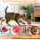 2025New2Pack Παιχνίδια με μπάλα για γατάκια για εσωτερικούς χώρους, διαδραστικό 2