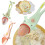 5 PCS Ceramic Ugly Frog Spoon Cute Stirring Spoon Tea Spoon Coffee Spoon 7