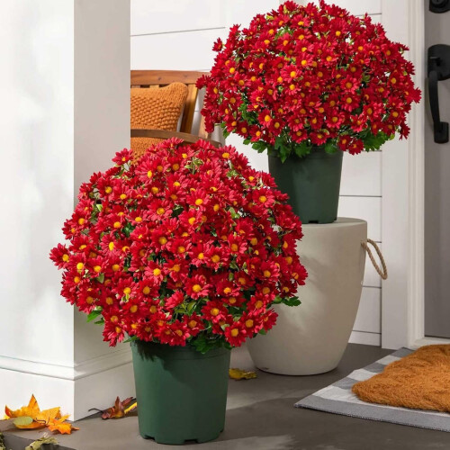 Künstliche Chrysanthemen, UV-beständig, 10 Bündel