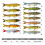 Isca artificial resistente de 2 peças com anzol, 20g/15cm, isca de pesca multisseção. 3