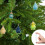 Χριστουγεννιάτικο Ημερολόγιο Advent με Γυαλί Θάλασσας - Συλλεκτικό Σετ Γούρι 24 4