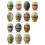 Elegant Toothpick Dispenser Convenient Push Type Toothpick Holders Elegant Toothpick Container Toothpick Storage Box 6