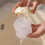 3PCS Multi-Layer Moisture-Proof Sealed Containers for Pet Treats Storage 4