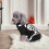 Dog Skeleton Costume for Small to Medium Dogs 3