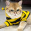 Striped Cute Bee Cat Costumes 2