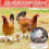 Protector de lomo de gallina con correa ajustable 4