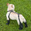 Waterproof Dog Boots Anti-Slip Adjustable All-Year Use 4