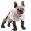 Waterproof Dog Boots Anti-Slip Adjustable All-Year Use 5