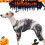 Halloween-kostumer til hunde og katte 2 stk. 2
