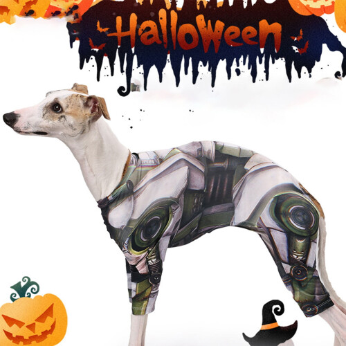 Halloween-kostumer til hunde og katte 2 stk. 1