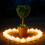 Artificial Plant Potted Green Succulents Small Tree Grass-2 3 7