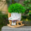 Adorable Smile Faces Plant Pot Featuring Rocking Drainage-3 6
