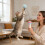 Retracting interactives Toy for to Reduce Destructive Behavior 4