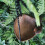 Vivid Arts Hanging Robin Heart Feeder 4