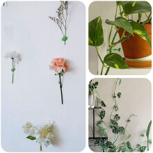 160Pc Plant Climbing Wall Fixture Clips Plant Fixer Vines Garden Green Leaf Plant Wall Clips Vines Holder for Wall Decor
