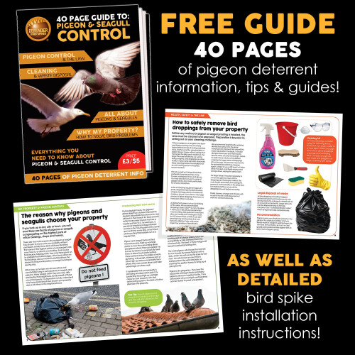 Defender Plastic Bird Spikes Pack | 3 Metre | Pigeon Control Guide | Various Size Packs 2
