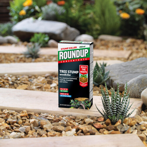 Roundup Roundup Tree Stump Weedkiller, Super Concentrate 250 ml 2