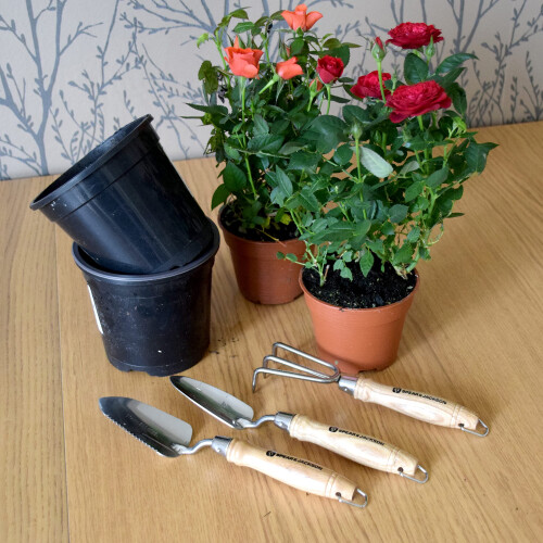 Spear & Jackson Spear & Jackson POTTING3PS 3 Piece Stainless Potting Tool Set 2